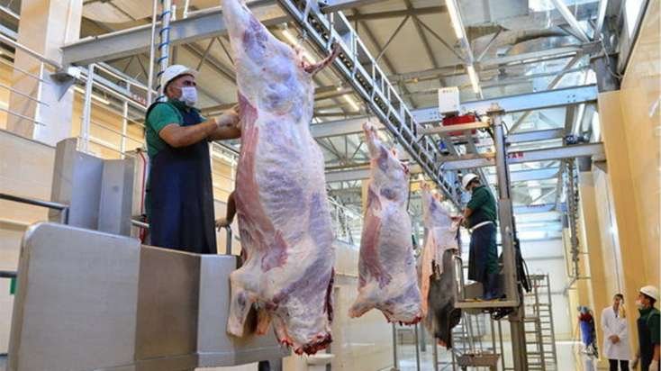 Qurbanlıq heyvanların satışı və kəsimi xidmətləri göstəriləcək ünvanlar açıqlandı