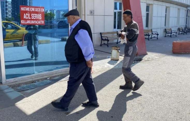 Türkiyədə qurban kəsimi zamanı 14 mindən çox insan yaralandı
