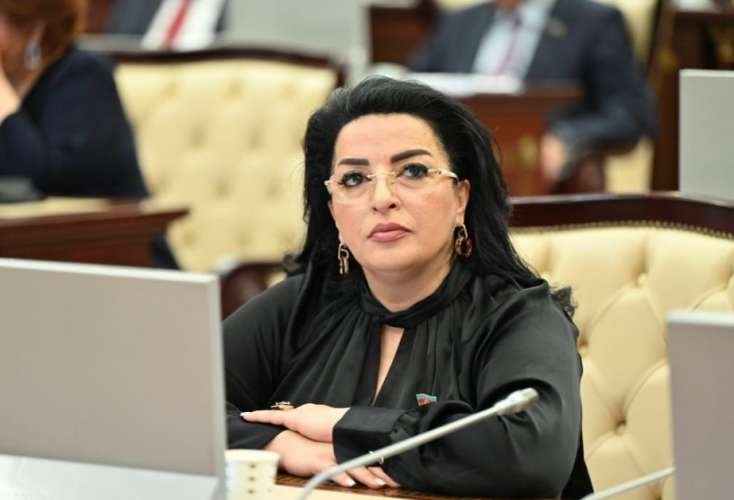 Bu valideyinlərə güzəşt oluna bilər -