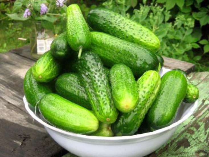 Xıyarın bitməyən faydaları