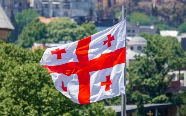 Gürcüstanın Milli Təhlükəsizlik Şurası ləğv ediləcək