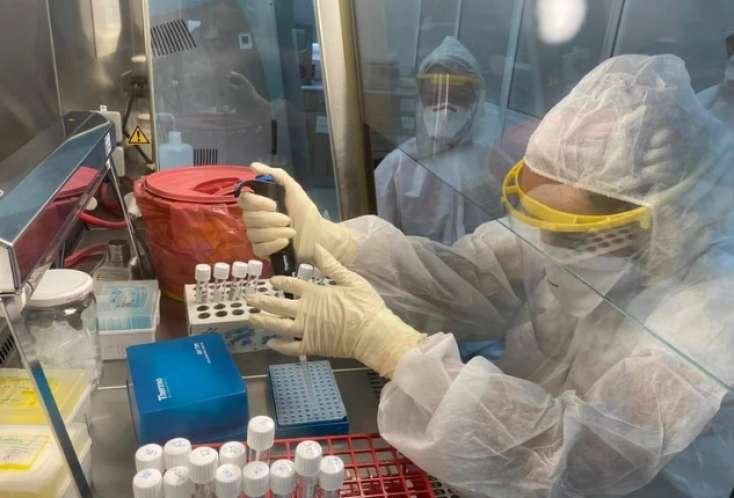 Yarasalardan keçən yeni virus yayılır?